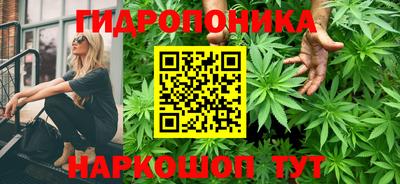 мяу мяу мука Чапаевск