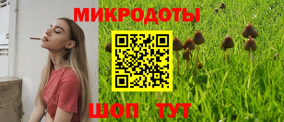 Галлюциногенные грибы прущие грибы Бор