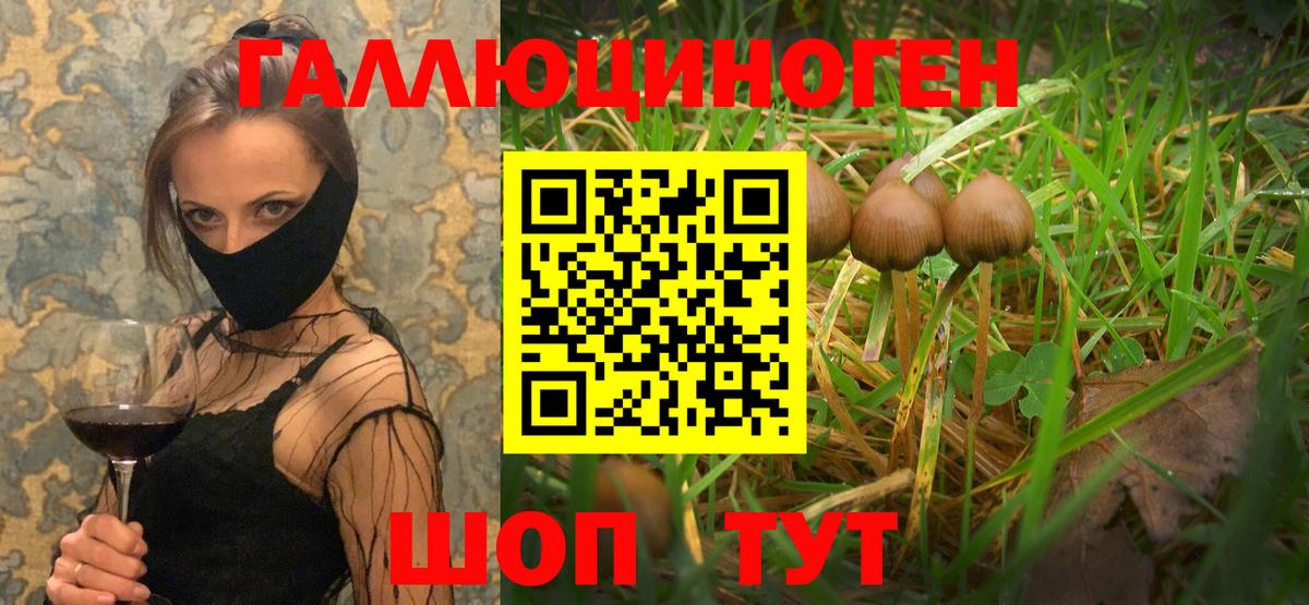 Бор  Псилоцибиновые грибы мухоморы  Вход с VPN 